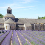 Provence Lavender Tour, Lavender Fields, Visit Provence, Visit the French Riviera