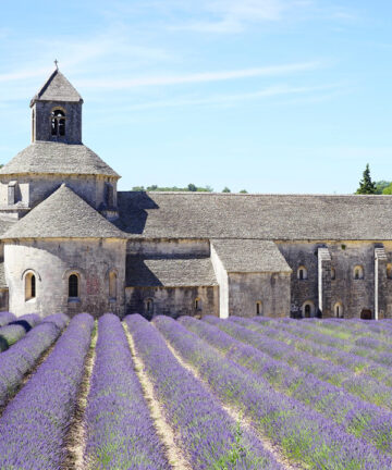 Provence Lavender Tour, Lavender Fields, Visit Provence, Visit the French Riviera