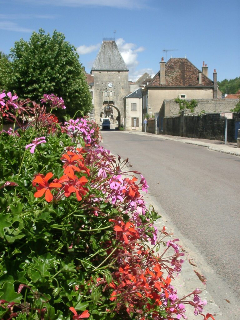 Noyers sur Serein Tour