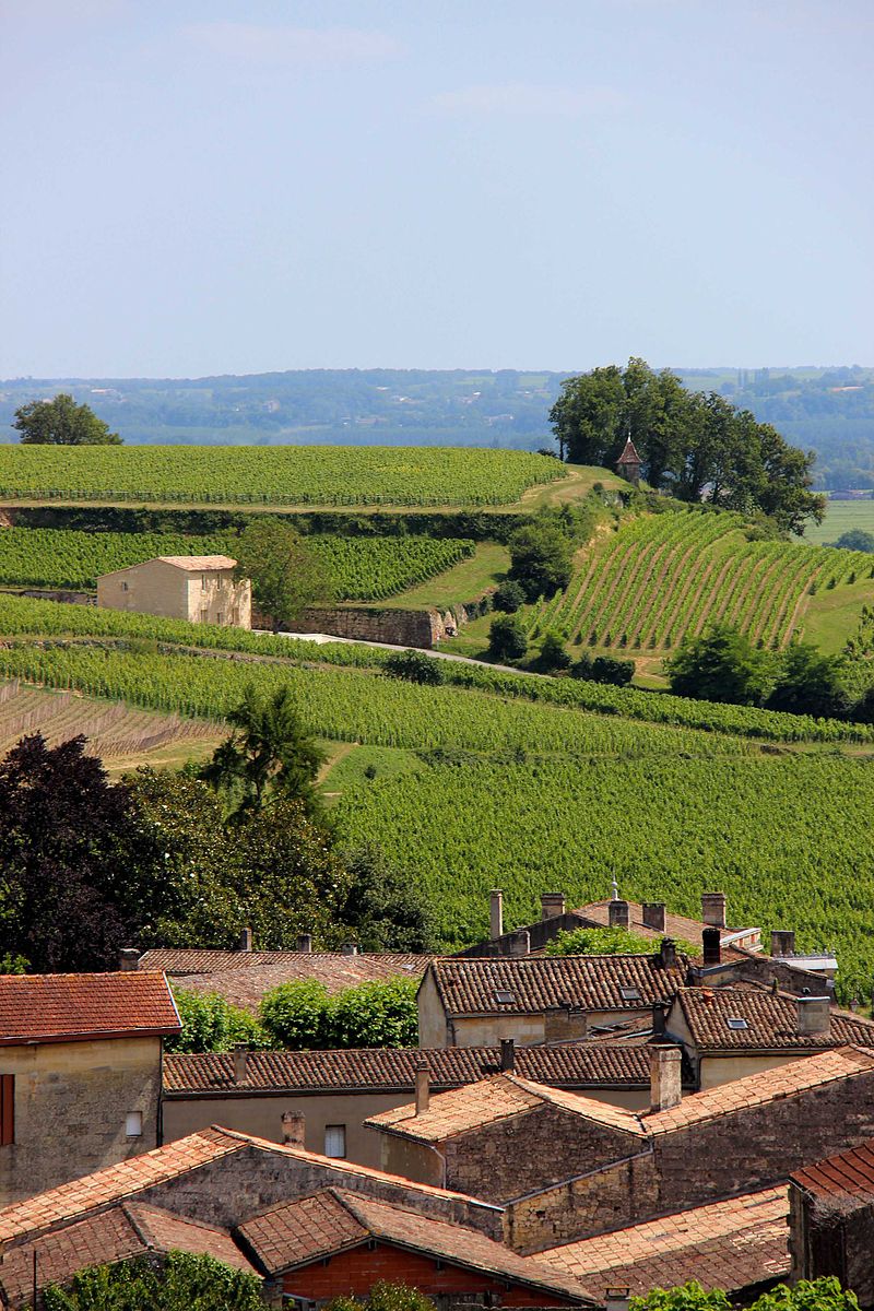 book a guide Saint Emilion