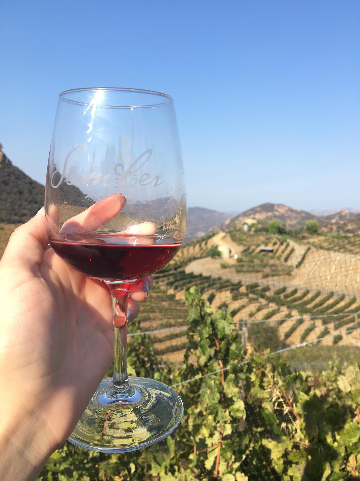 Premium Excursion Burgundy and Dijon