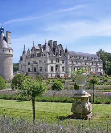 Chateau de Chenonceau Private Tour Guide