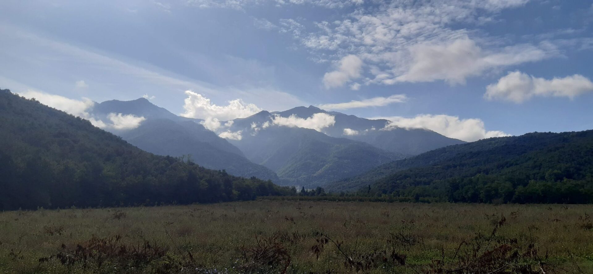 Saint Michel de Cuxa Tour Guide