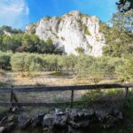 Visit Provence, Visit Luberon, Provence Tours, Dauphin Tour Guide