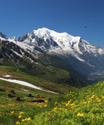 Excursion Mont Blanc, Mont Blanc Guide, Visit Mont Blanc