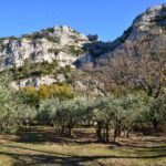 Visit Provence, Visit Luberon, Provence Tours, Cheval Blanc Tour Guide
