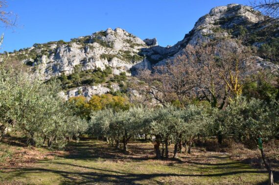 Visit Provence, Visit Luberon, Provence Tours, Cheval Blanc Tour Guide