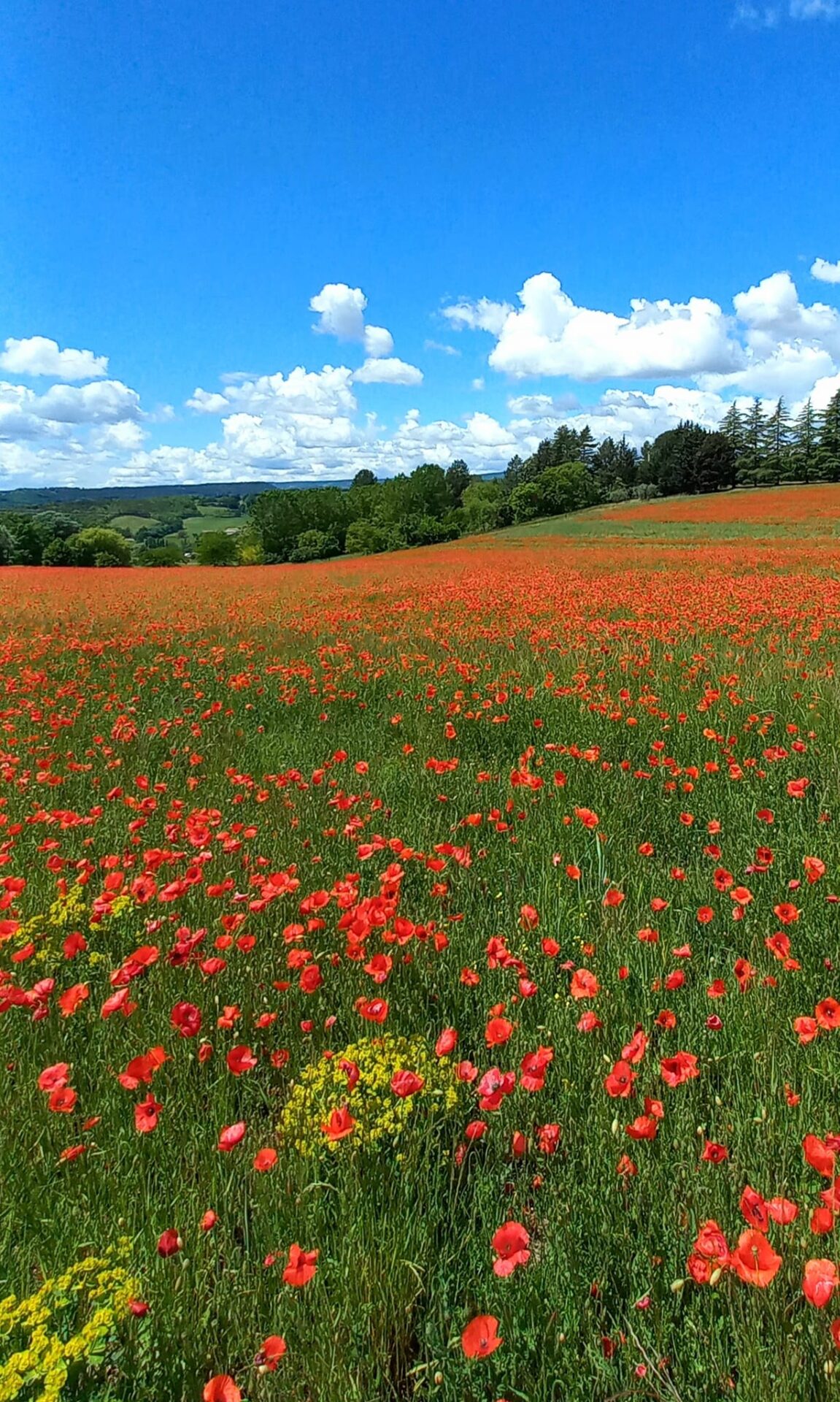 Luberon, Luberon France, Provence Tours, Luberon Tours, Visit France, Lurs Tour Guide