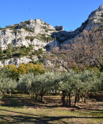 Visit Luberon, Luberon Tour, Visit Provence, Provence Tours, Robion Tour Guide