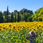 Visit Provence, Visit Luberon, Provence Tours, Cadenet Tour Guide