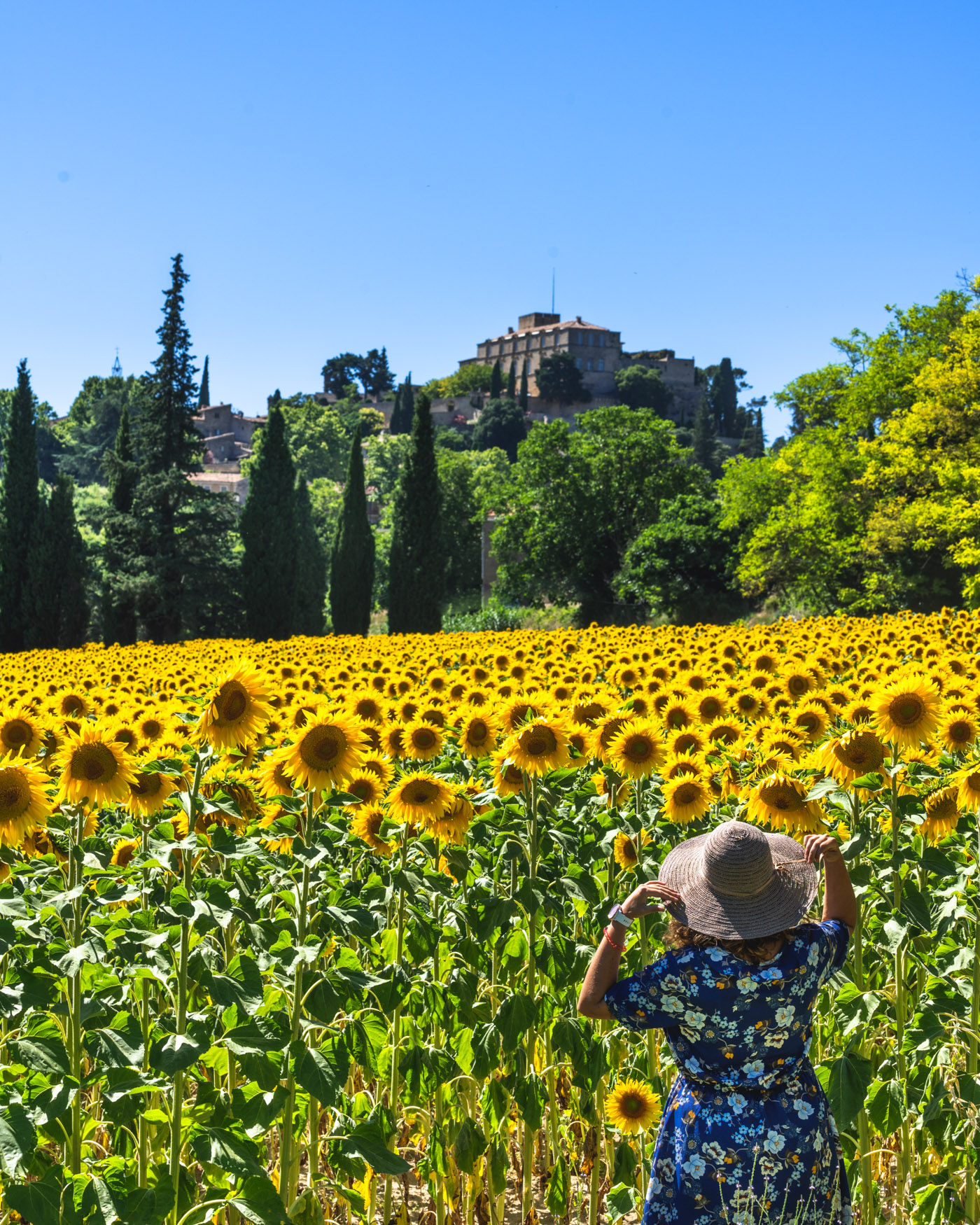 Visit Provence, Visit Luberon, Provence Tours, Cadenet Tour Guide