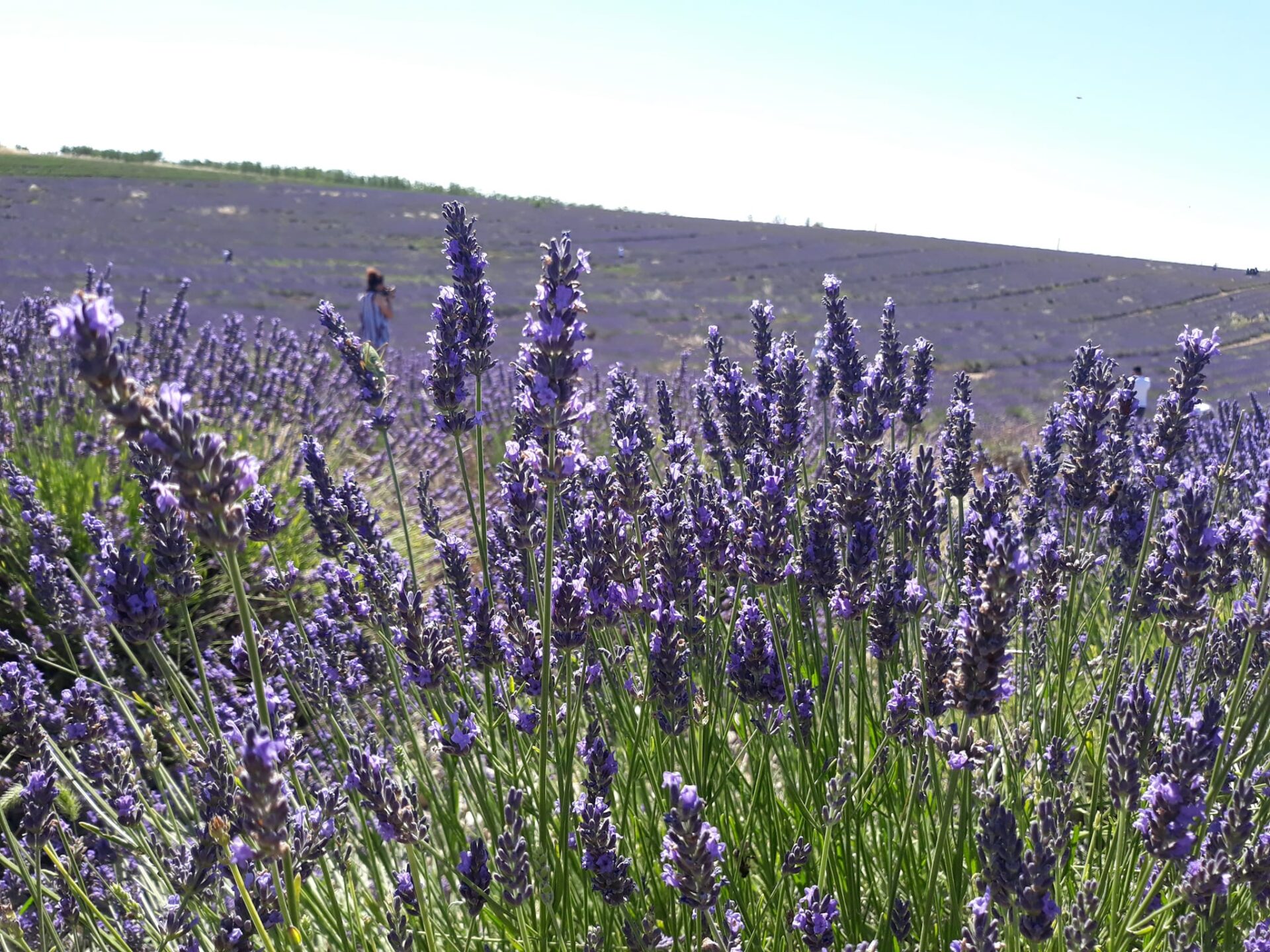 Visit Luberon, Luberon Tour, Visit Provence, Provence Tours,