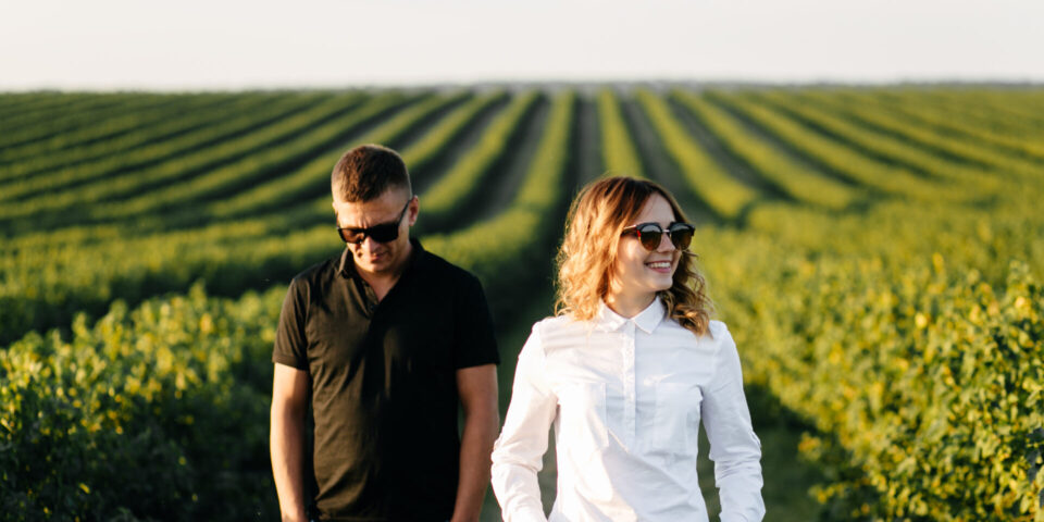 Chateauneuf du Pape Wine Tour