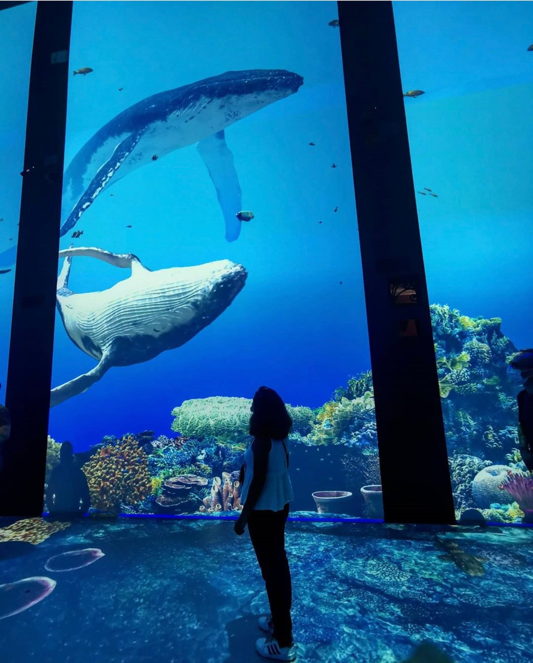 Musée Océanographique Monaco