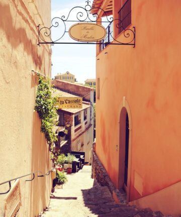 Excursion to Bormes les Mimosas