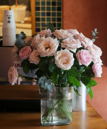 Excursion to Grasse, Shore Excursion from Cannes, Visit the French Riviera