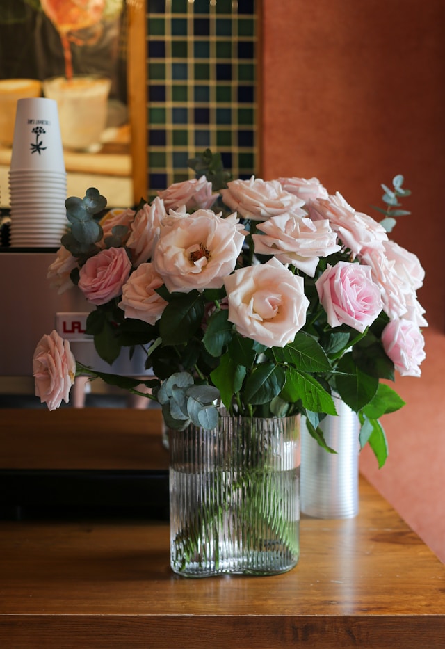 Excursion to Grasse, Shore Excursion from Cannes, Visit the French Riviera