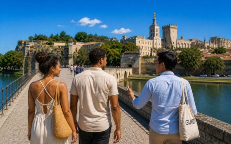 visit avignon with a private guide