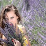 Lavender Fields in Provence, Visit Lavender Fields