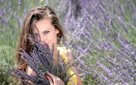 Lavender Fields in Provence, Visit Lavender Fields