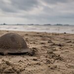 dunkirk_helmet_beach