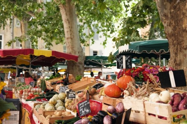 Shore Excursions from Marseille, Shore Excursions from Marseille