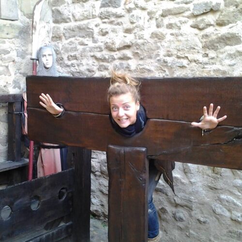 Visit Carcassonne
